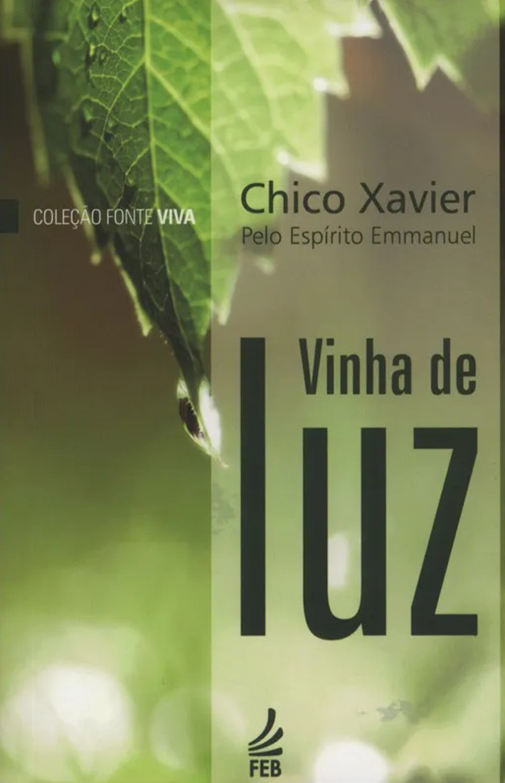 Vinha de Luz